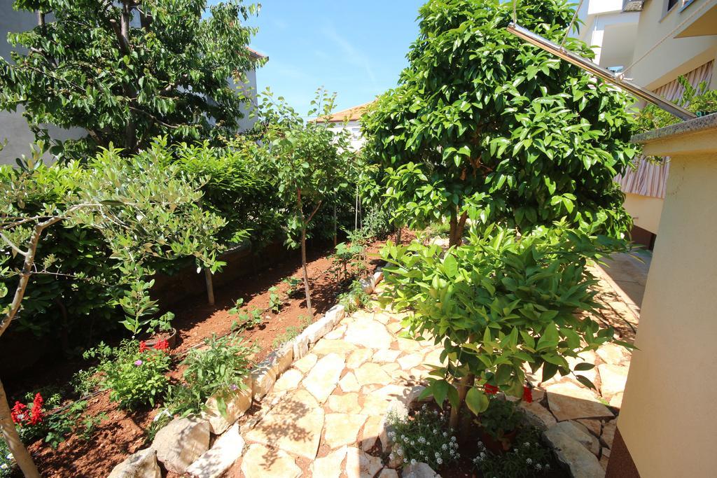 Dasa Apartament